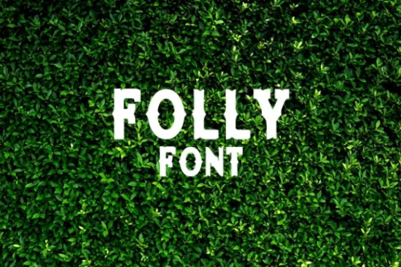 Folly: A Stylish Display Font